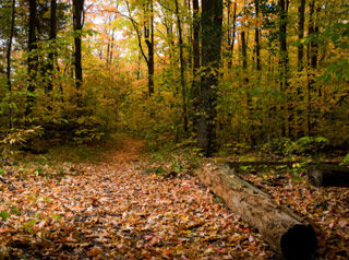 Orienteering Raleigh NC