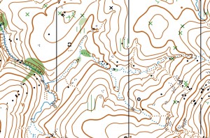 Section of Birkhead Wilderness Map