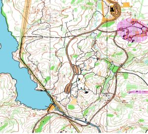 Orienteering Map